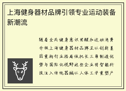 上海健身器材品牌引领专业运动装备新潮流
