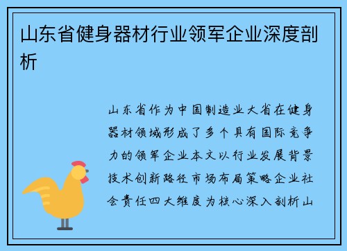 山东省健身器材行业领军企业深度剖析