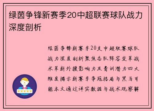 绿茵争锋新赛季20中超联赛球队战力深度剖析